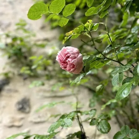 O Bonheurs Simples D'Ecorsaint Il Etait Une Fois Hauteroche Exterior foto